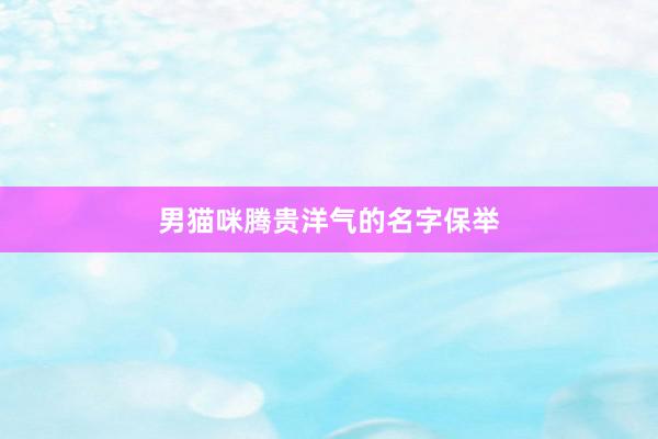男猫咪腾贵洋气的名字保举